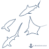 Collage LEMOMIMA contour blue
