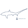 Thresher Shark LEMOMIMA contour