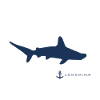Hammerhead LEMOMIMA