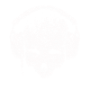 DJ Skull