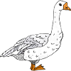 Goose