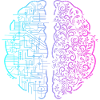 Left Brain Right Brain