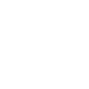 Führungskraft Islandpferd