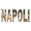 Napoli paesaggio urbano