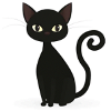 black cat