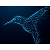 hummingbird