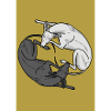 Whippetsis