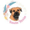 Border terrier