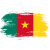 Cameroon flag flag