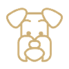 Schnauzer dog Polygon face