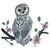 owl caroleARTCo