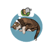 Cat's dream