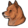 Finnish vertical ear