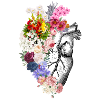 Human Heart Flowers