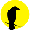 Crow