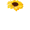 never give up
