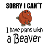 BEAVER: Plans with a Beaver