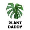 Plants Daddy Gift Monstera Deliciosa