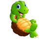Turtle Chill : Drôle d’animal comique
