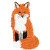 Sitting Red Fox I