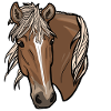 Finnish horse