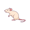 Clipart de rat blanc