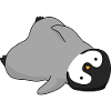 Bébé pingouin