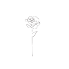Line art gray flower