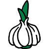 Knoblauch Garlic Ail Aglio