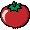 Tomato tomate pomodoro