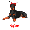 Dobermann Frauchen Doberman Mama