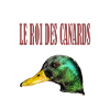 canard