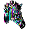Buntes Zebra - Farbiges Zebra