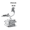 Pigeon pigeon bird mom