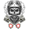 skull rider
