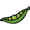 Peas pea pois - Green bean