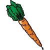 Carrot carrot carrot carrot