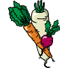 Vegetables Vegetable Garden Vegetables Gardener