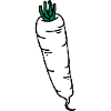 Radish radis