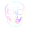 Skull skull