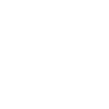 American Flag With Eagle White