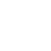 polar bear polygon polar bear