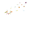 Wine dandelion