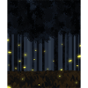 Forest firefly night