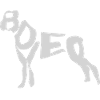 Chien boxer