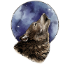 Wolf And Moon