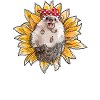 Sunflower Hedgehog
