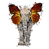 l'éléphant