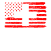 Drapeau des États-Unis Suisse