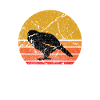 Retro Sun Kakapo Bird Gift